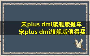 宋plus dmi旗舰版提车_宋plus dmi旗舰版值得买吗